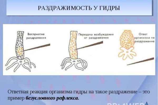 Tor browser даркнет