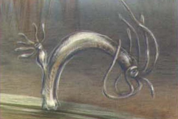 Кракен закладки