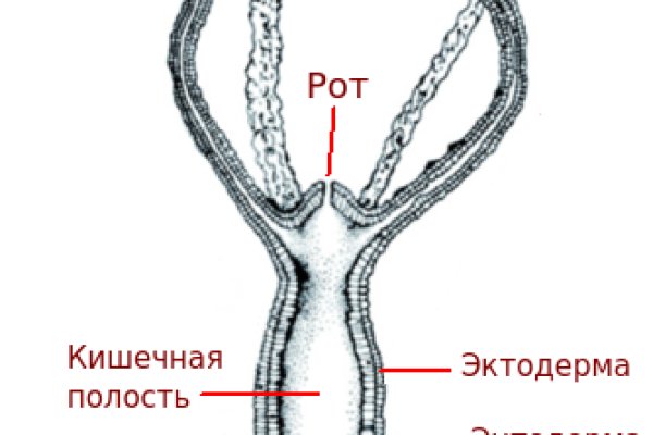 Что такое кракен даркнет