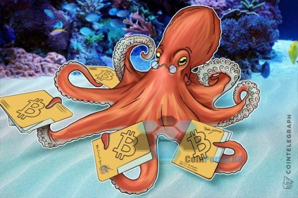 Как найти kraken