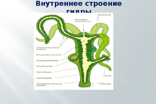 Кракен ссылку где